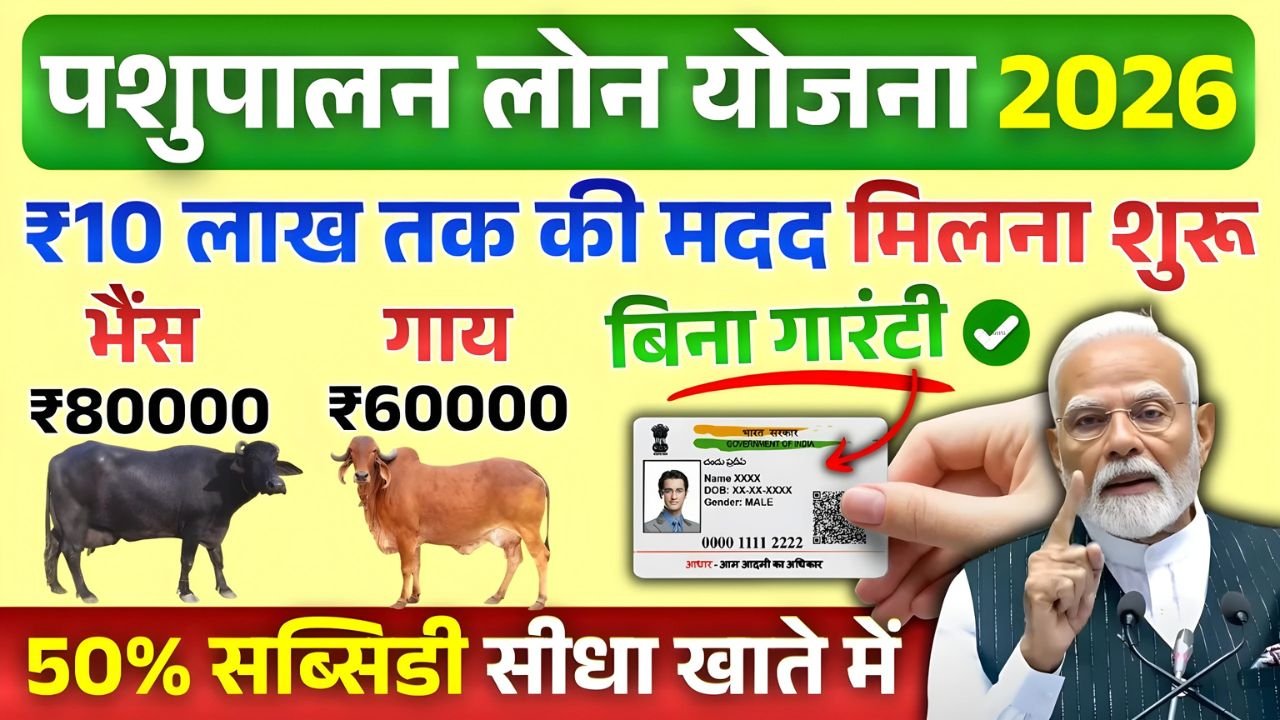 Dairy Farm Loan 2026